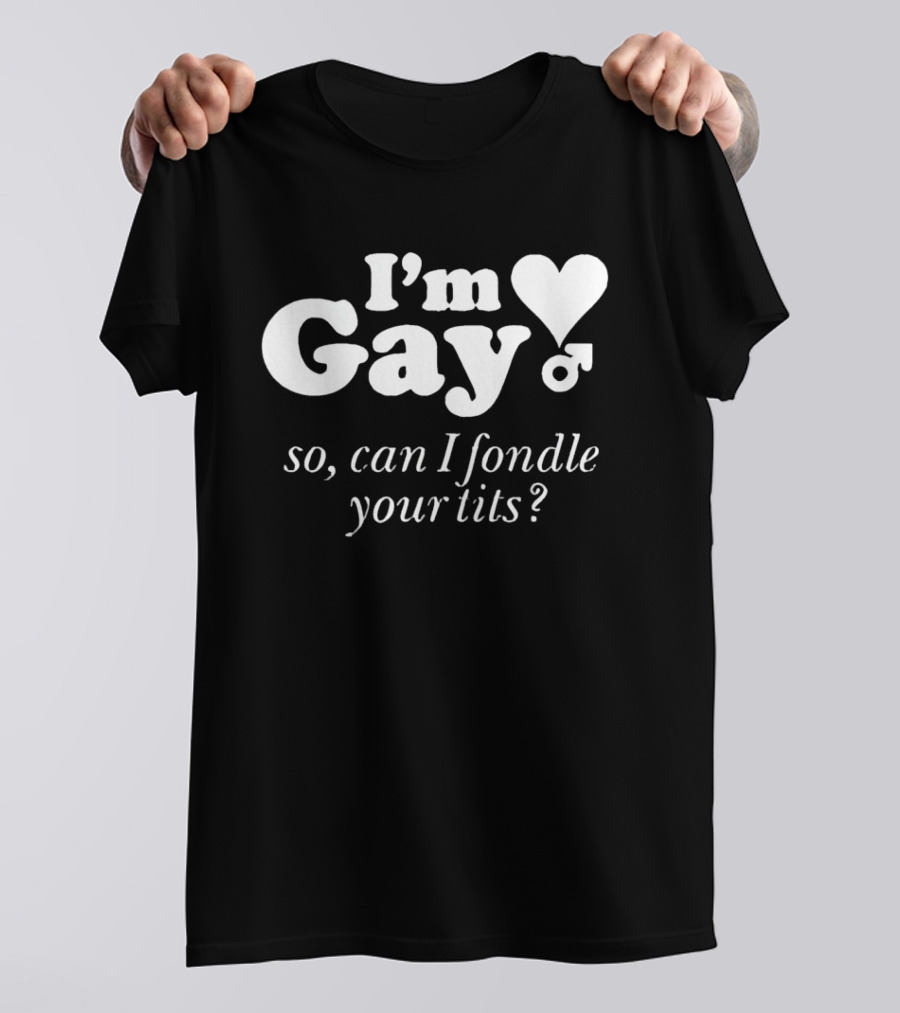 I'm Gay So Can I Fondle Your Tits Heart Symbol And Male T-Shirt