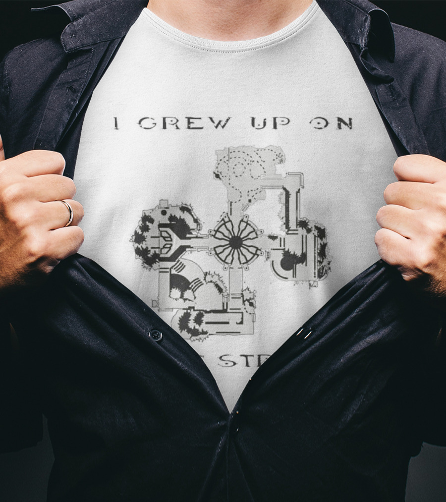 I Grew Up On These Streets Sesame Street Characters Blocks T-Shirt