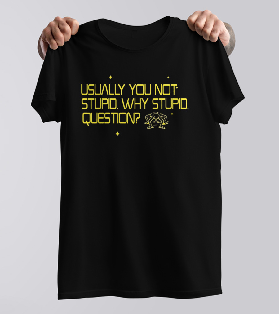 Usually You Not Stupid Why Stupid Question Project Hail Mary T-Shirt