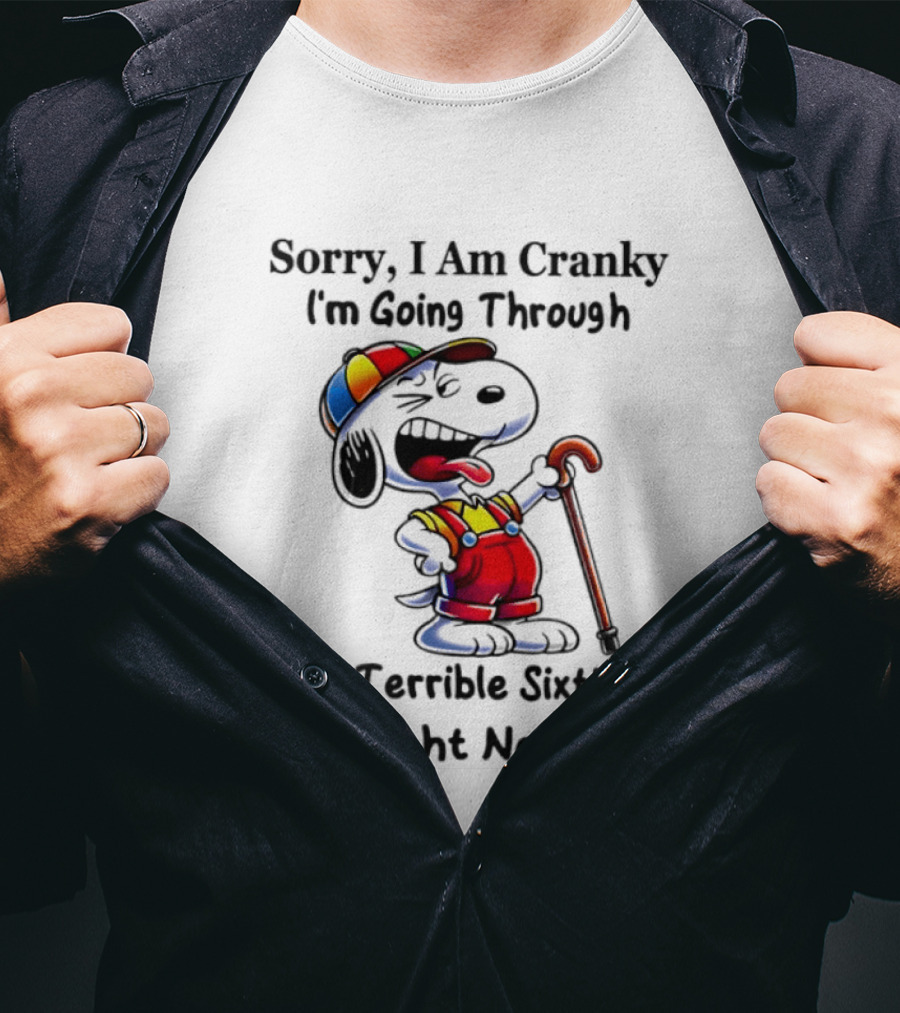 Sorry I Am Cranky I'm Going Through My Terrible Sixties Right Now T-Shirt