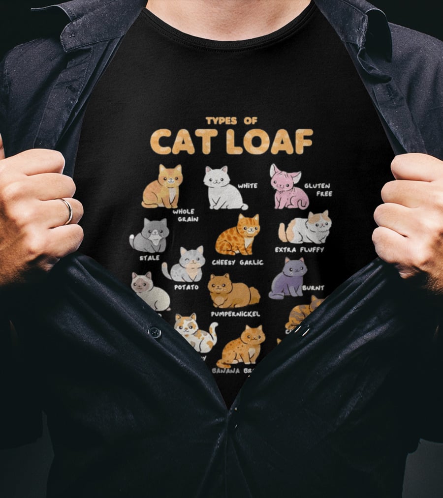 Types Of Cat Loaf Illustrated Cute Feline Varieties T-Shirt