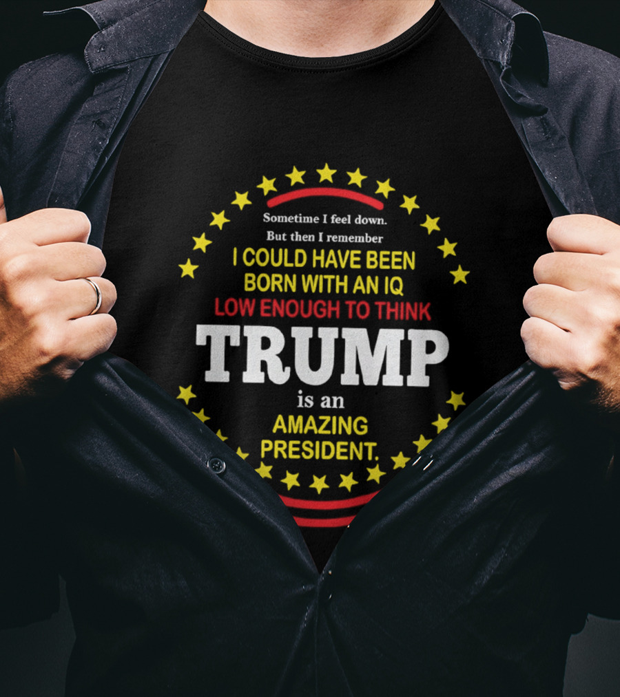 Sometime I Feel Down But Then I Remember I Could Have Been Born With An IQ Low Enough To Think Trump Is An Amazing President T-Shirt