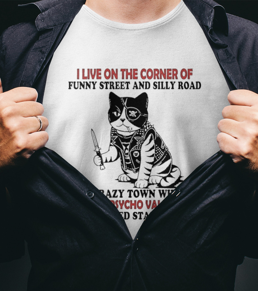 I Live On The Corner Of Funky Street And Silly Road In Crazy Town Psycho Valley Twisted State Of Mind T-Shirt