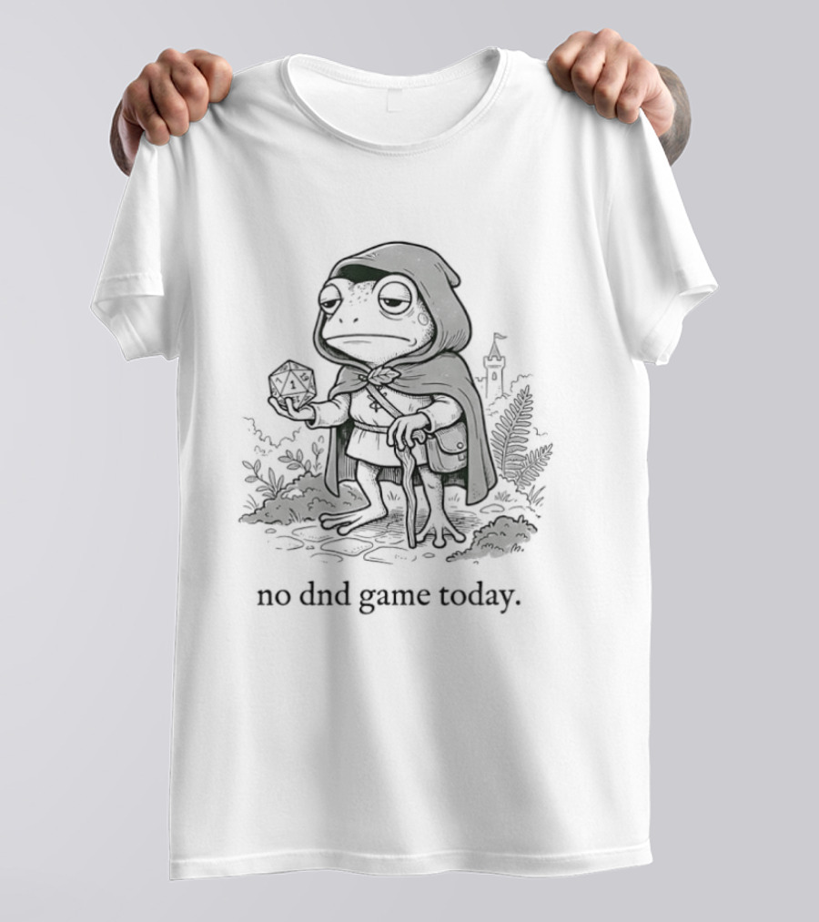 No DnD Game Today Frog Wizard Magic Adventure T-Shirt
