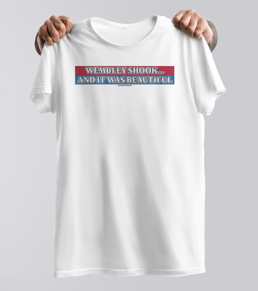 Wembley Shook And It Was Beautiful T-Shirt