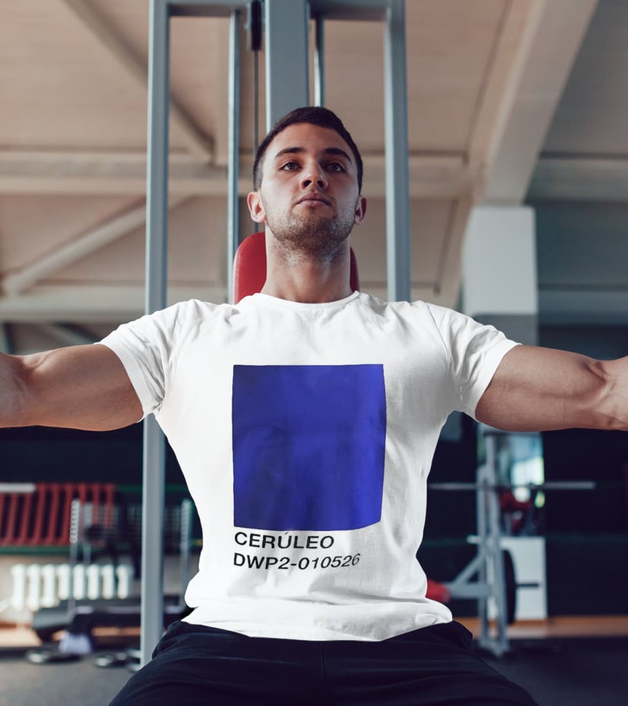 Ceruleo DWP2 010526 T-Shirt