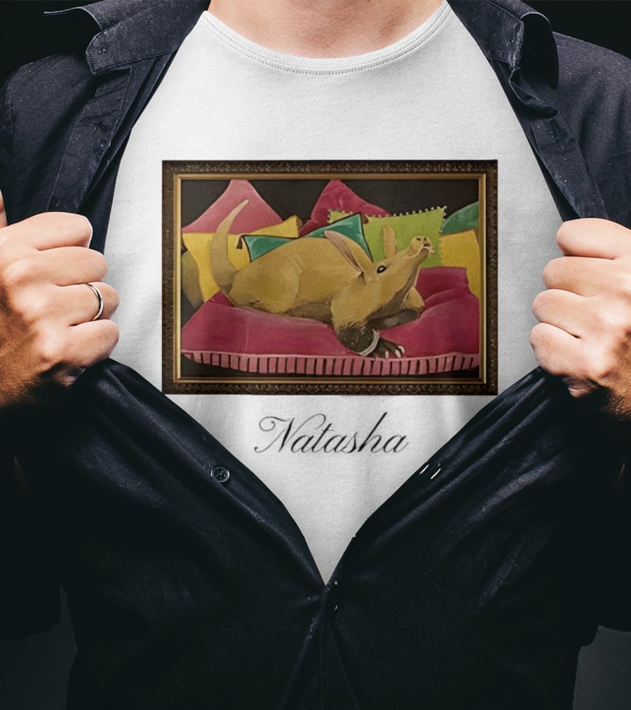 Natasha Painting Photo Flame Armadillo On Pillows Framed T-Shirt