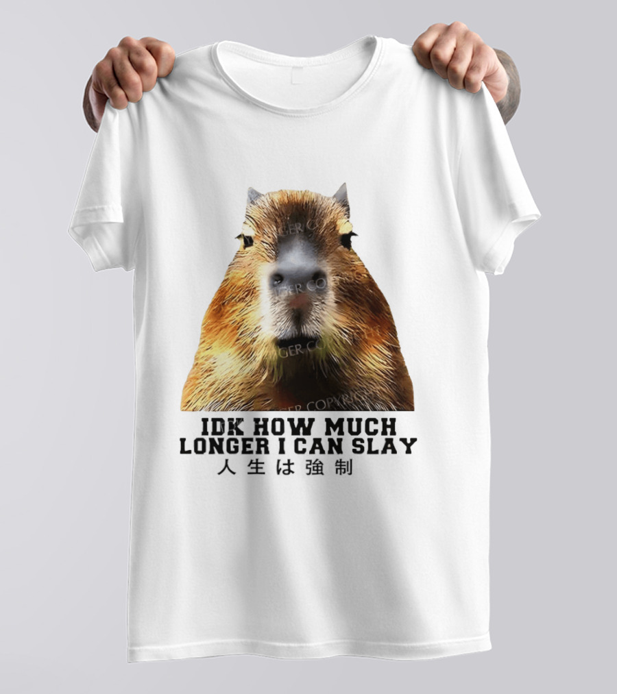 Capybara Idk How Much Longer I Can Slay T-Shirt