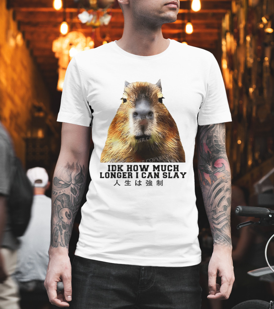 Capybara Idk How Much Longer I Can Slay T-Shirt