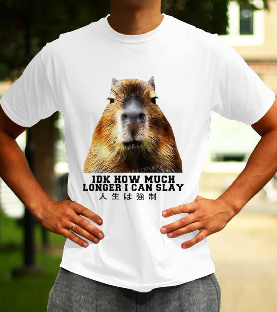Capybara Idk How Much Longer I Can Slay T-Shirt