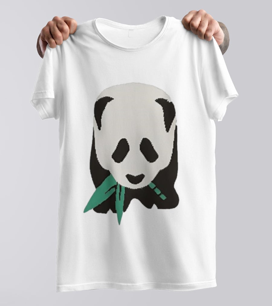 Taylor Wearing Free People Panda T-Shirt