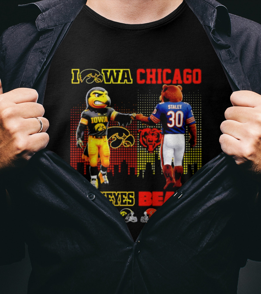 Iowa Hawkeyes Saturdays Chicago Bears Sundays City Skyline T-Shirt