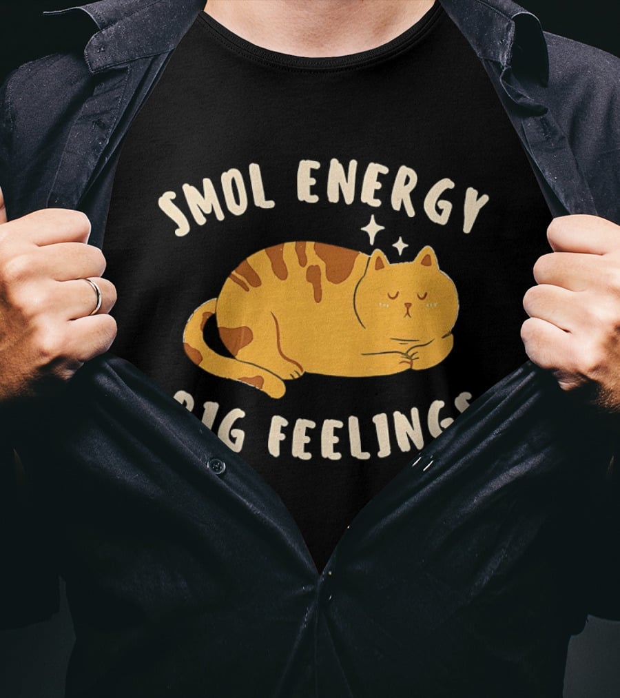 Smol Energy Big Feelings Cat Illustration With Sleepy Kitty Vibes T-Shirt