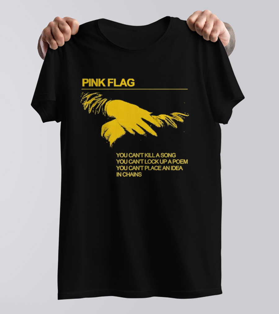 Pink Flag You Can't Kill A Song Poem Idea In Chains T-Shirt