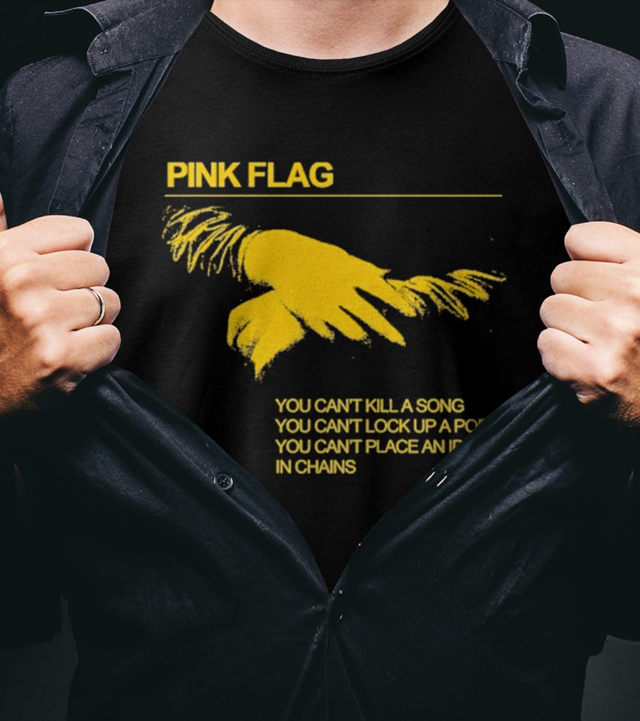 Pink Flag You Can't Kill A Song Poem Idea In Chains T-Shirt