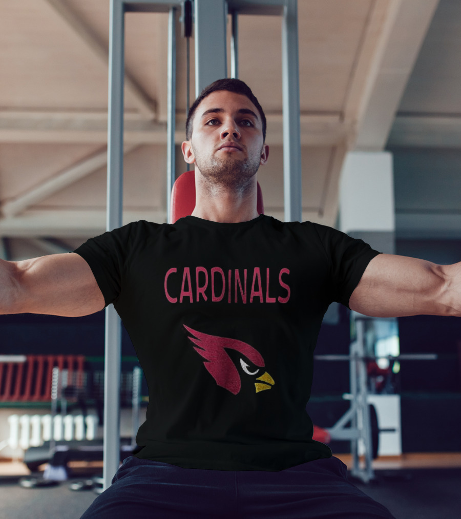 Arizona Cardinals Peanuts Snoopy Woodstock Bird Gang Football T-Shirt