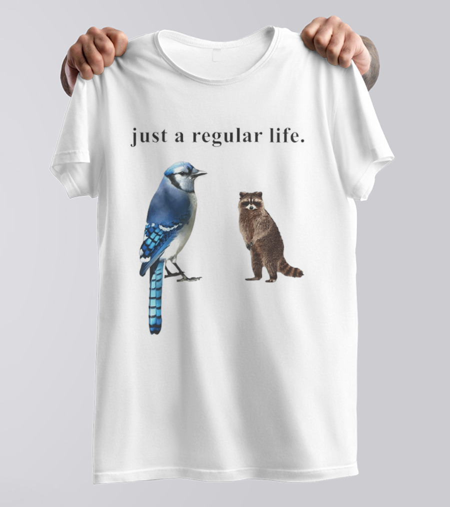 Just A Regular Life Raccoon And Bird Regular Show T-Shirt