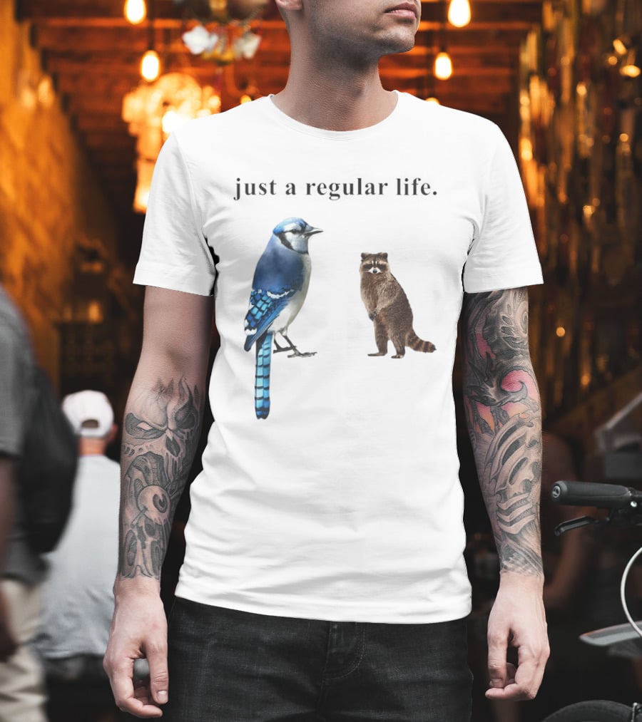 Just A Regular Life Raccoon And Bird Regular Show T-Shirt