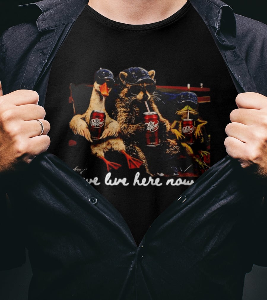 We Live Here Now Goose Raccoon Dr Pepper Meme T-Shirt