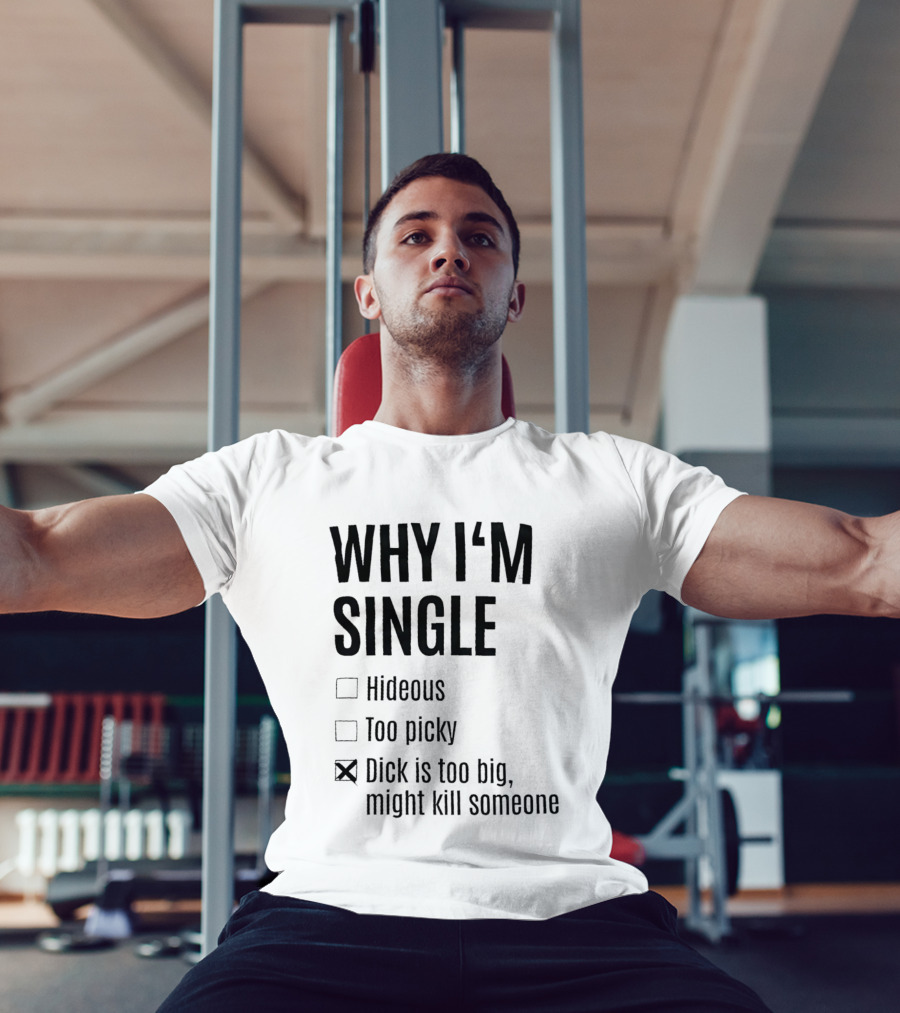 Why I'm Single Hideous Too Picky Dick Is Too Big Might Kill Someone T-Shirt