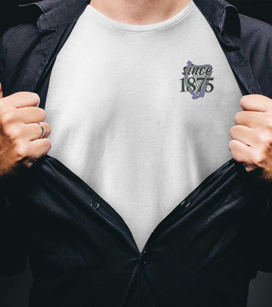 Since 1875 Persevere New York Yankees Logo Vibes Classic Heritage T-Shirt