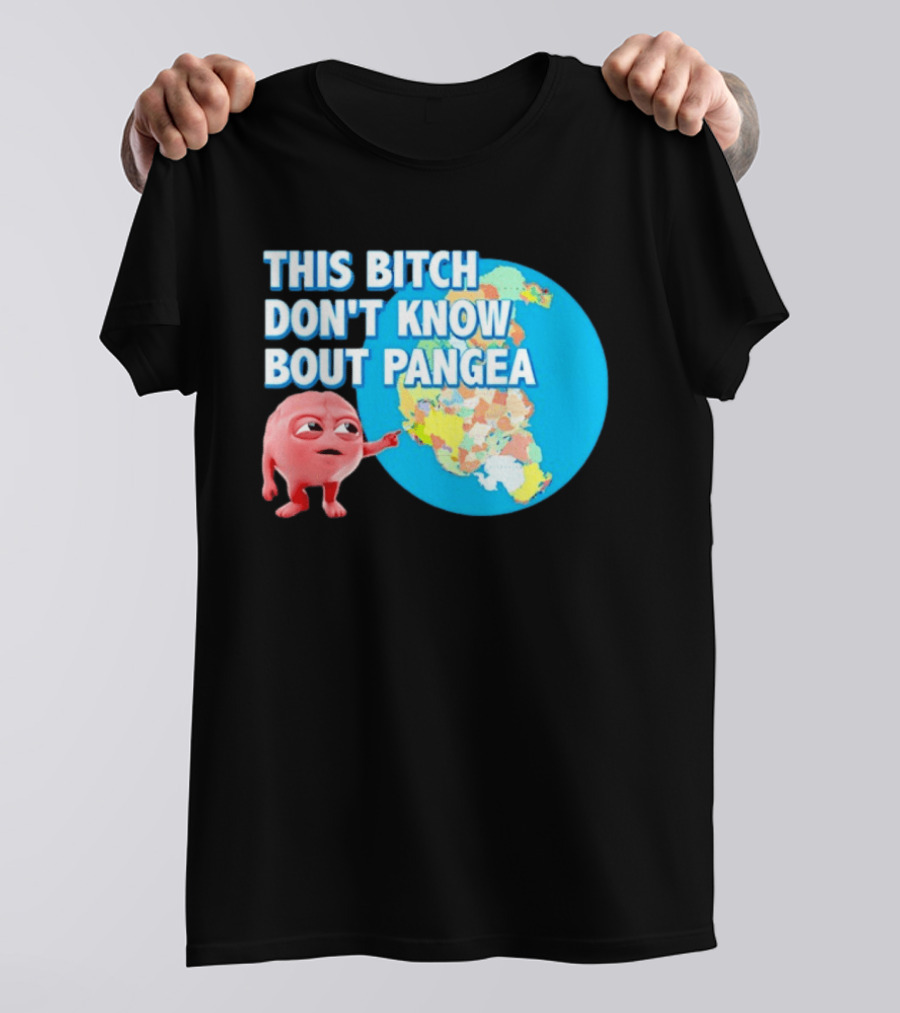 This Bitch Don't Know Bout Pangea Brain Meme Map T-Shirt