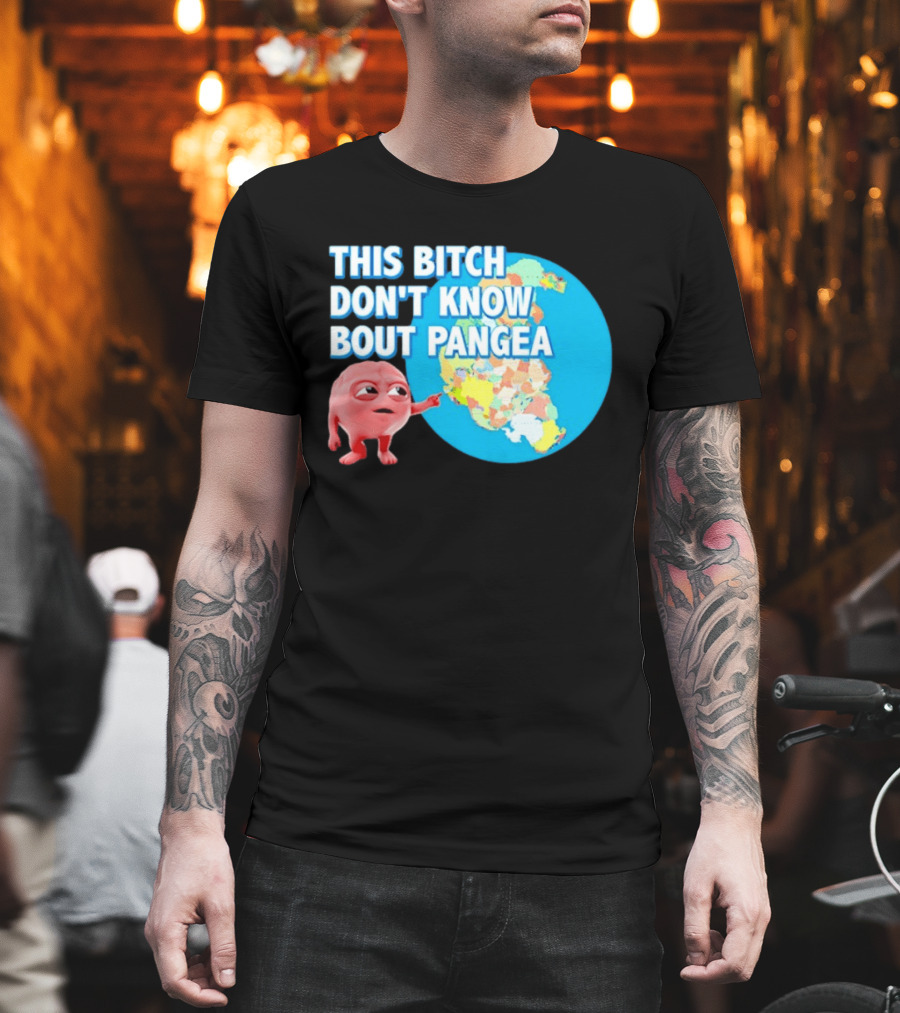 This Bitch Don't Know Bout Pangea Brain Meme Map T-Shirt