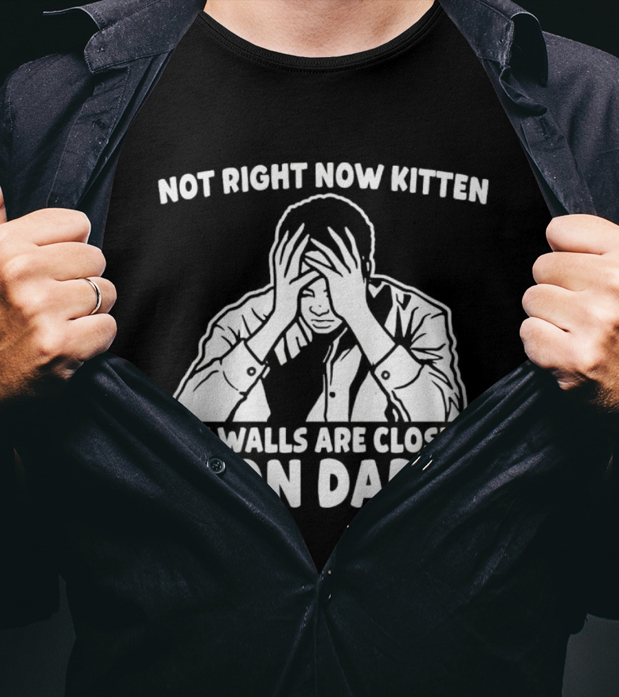 Not Right Now Kitten The Walls Are Closing In On Daddy Stress Humor T-Shirt