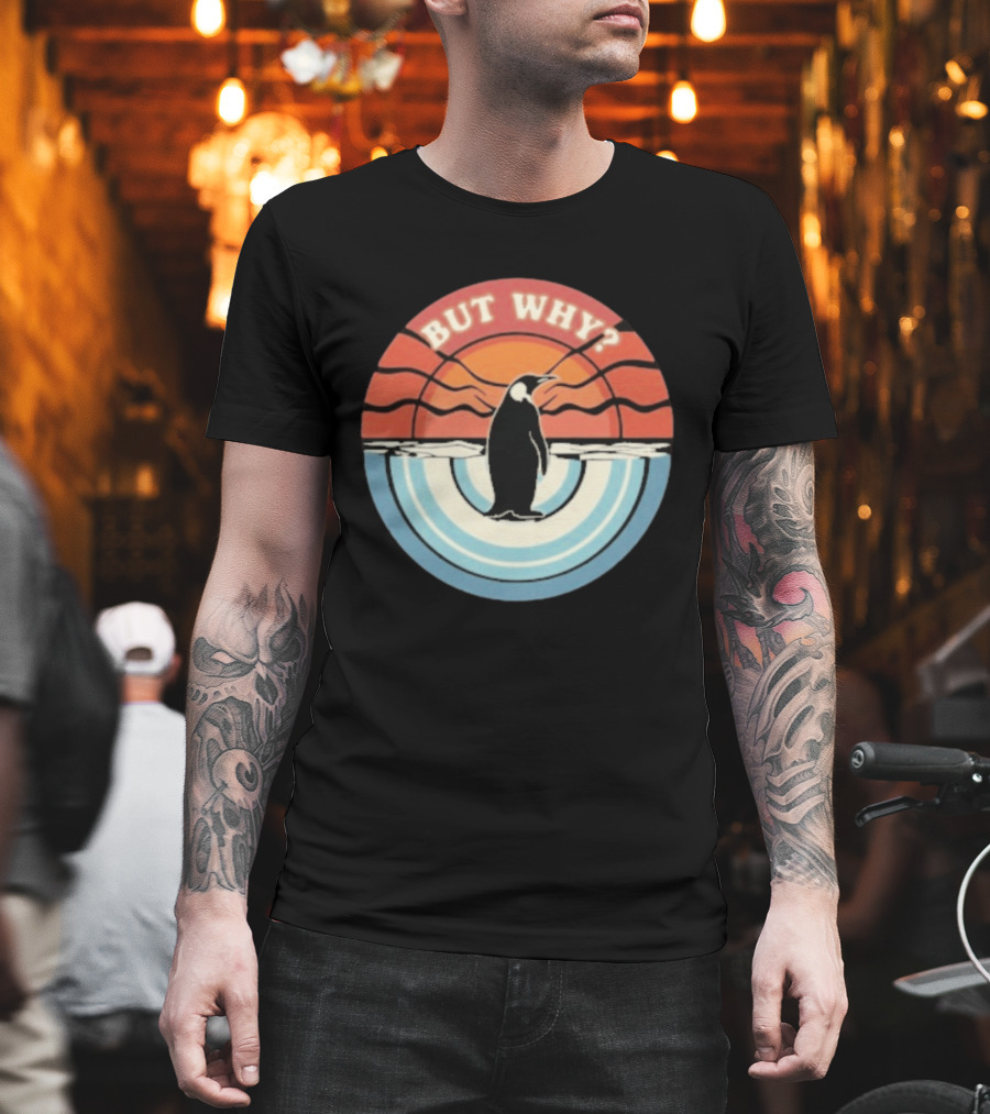 But Why Penguin Vintage Sunset Retro Ocean Waves T-Shirt
