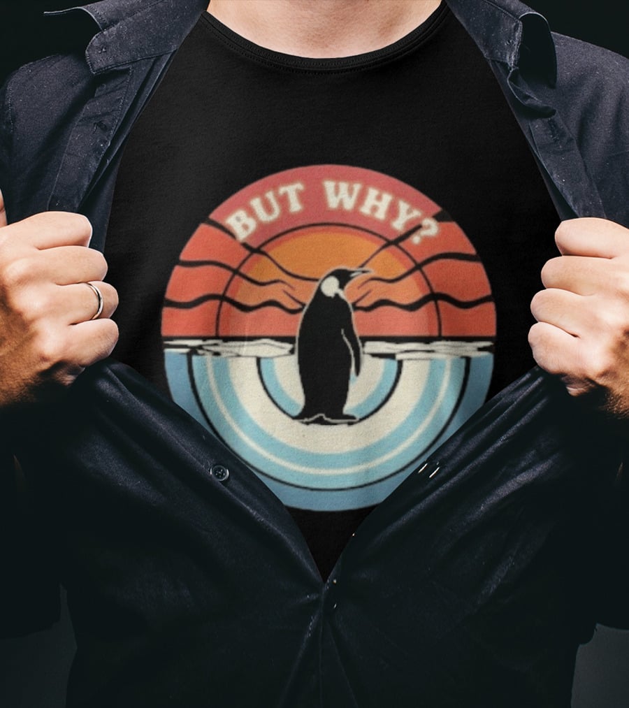 But Why Penguin Vintage Sunset Retro Ocean Waves T-Shirt