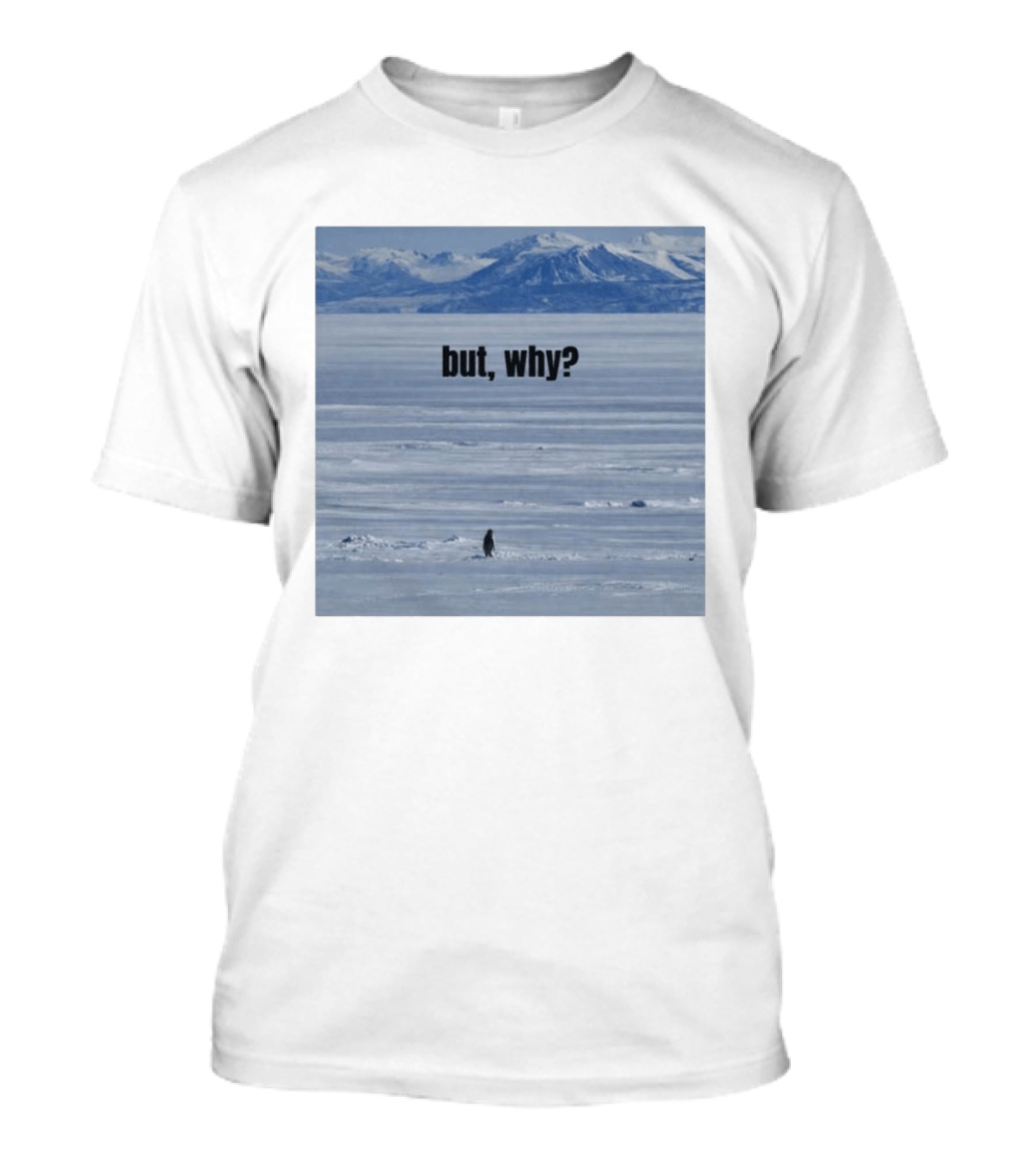 But Why Penguin On Ice With Mountain T-Shirt