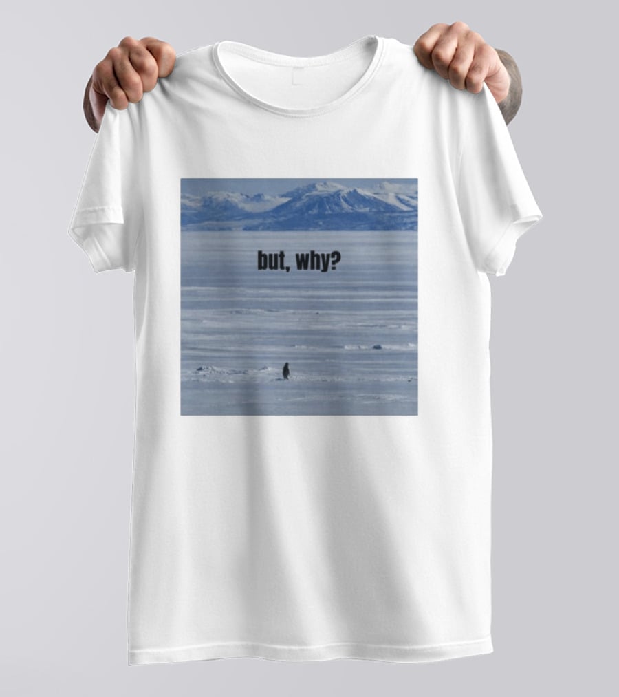 But Why Penguin On Ice With Mountain T-Shirt