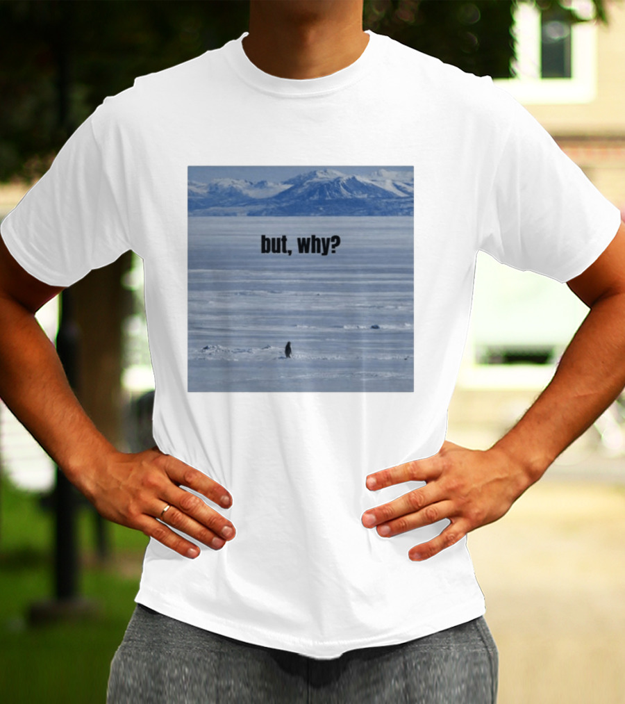 But Why Penguin On Ice With Mountain T-Shirt