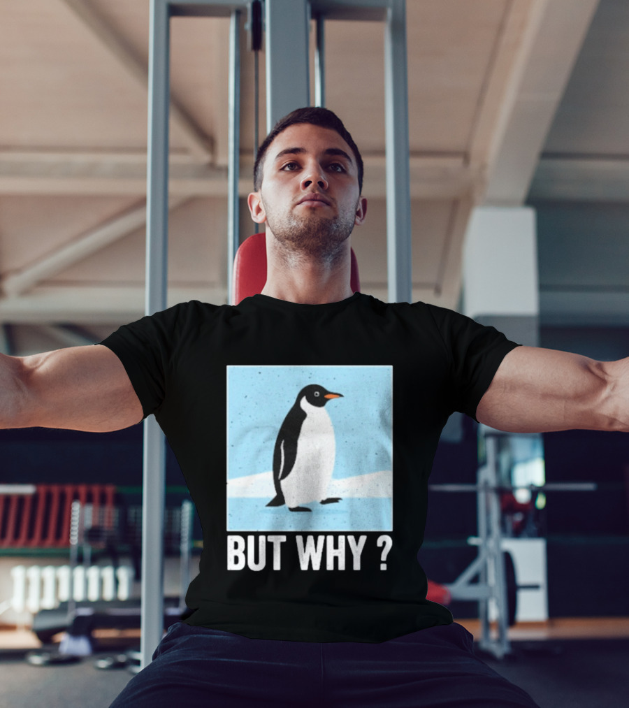 Penguin But Why Humor Motivational Towards Mountains T-Shirt