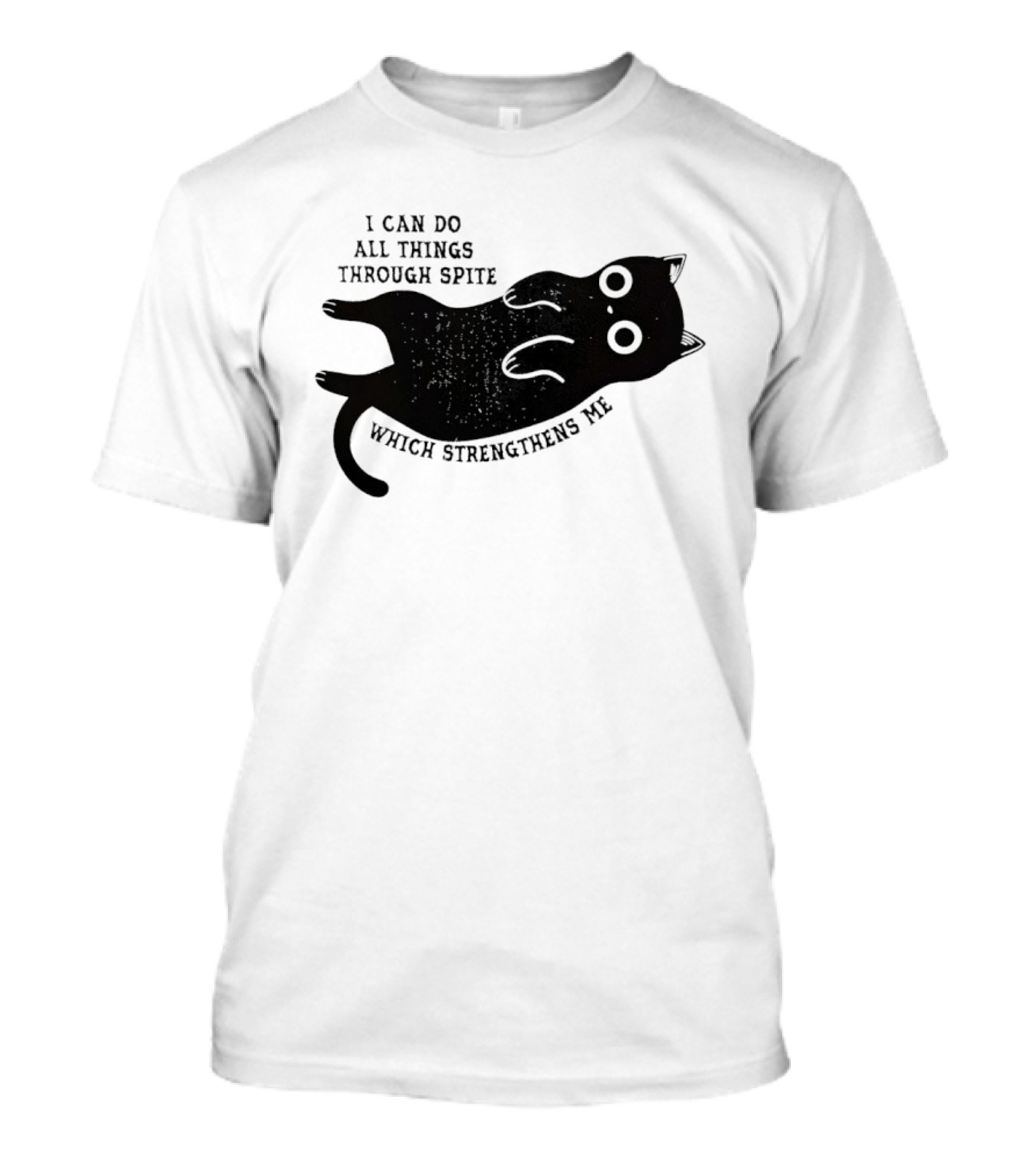 Black Cat I Can Do All Things Through Spite Which Strengthens Me T-Shirt