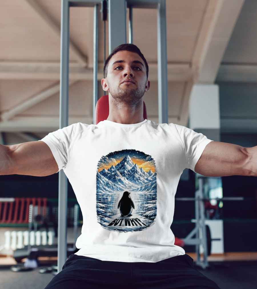 Viral Nihilist Penguin But Why Mountain Reflection T-Shirt