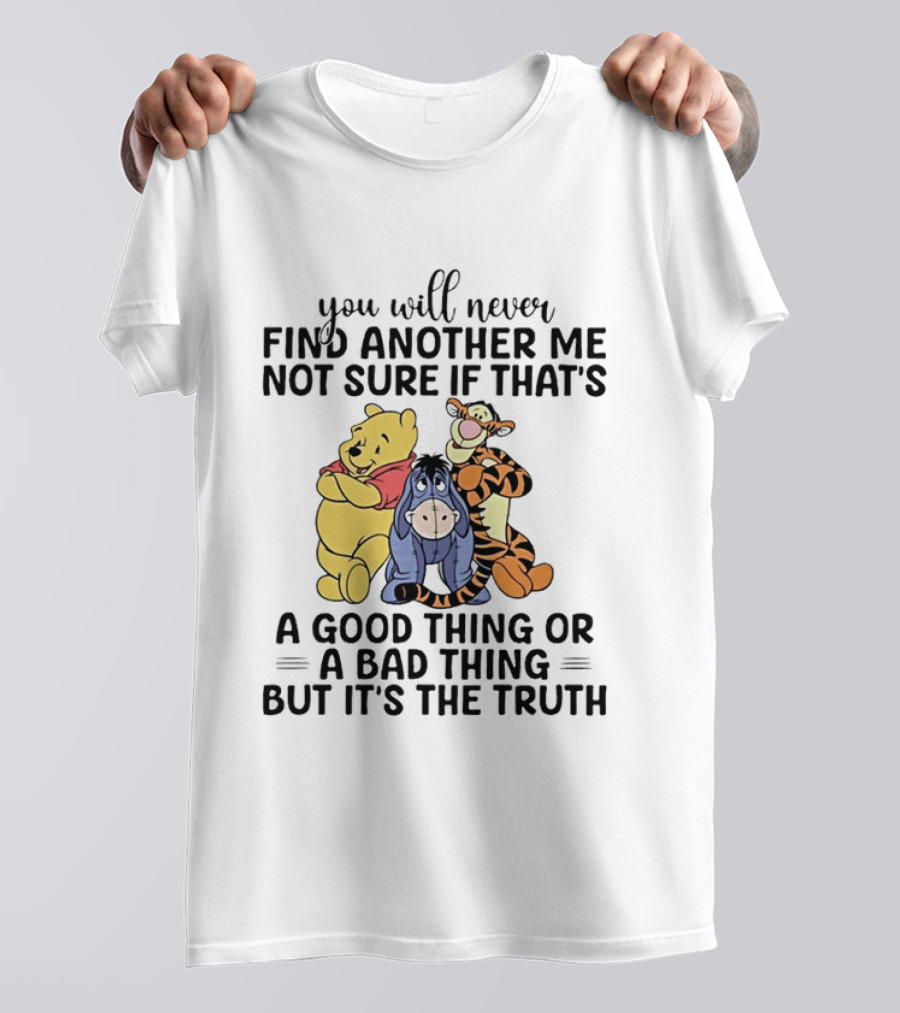 Winnie The Pooh Eeyore Tigger You Will Never Find Another Me Not Sure If That's A Good Thing Or A Bad Thing But It's The Truth T-Shirt