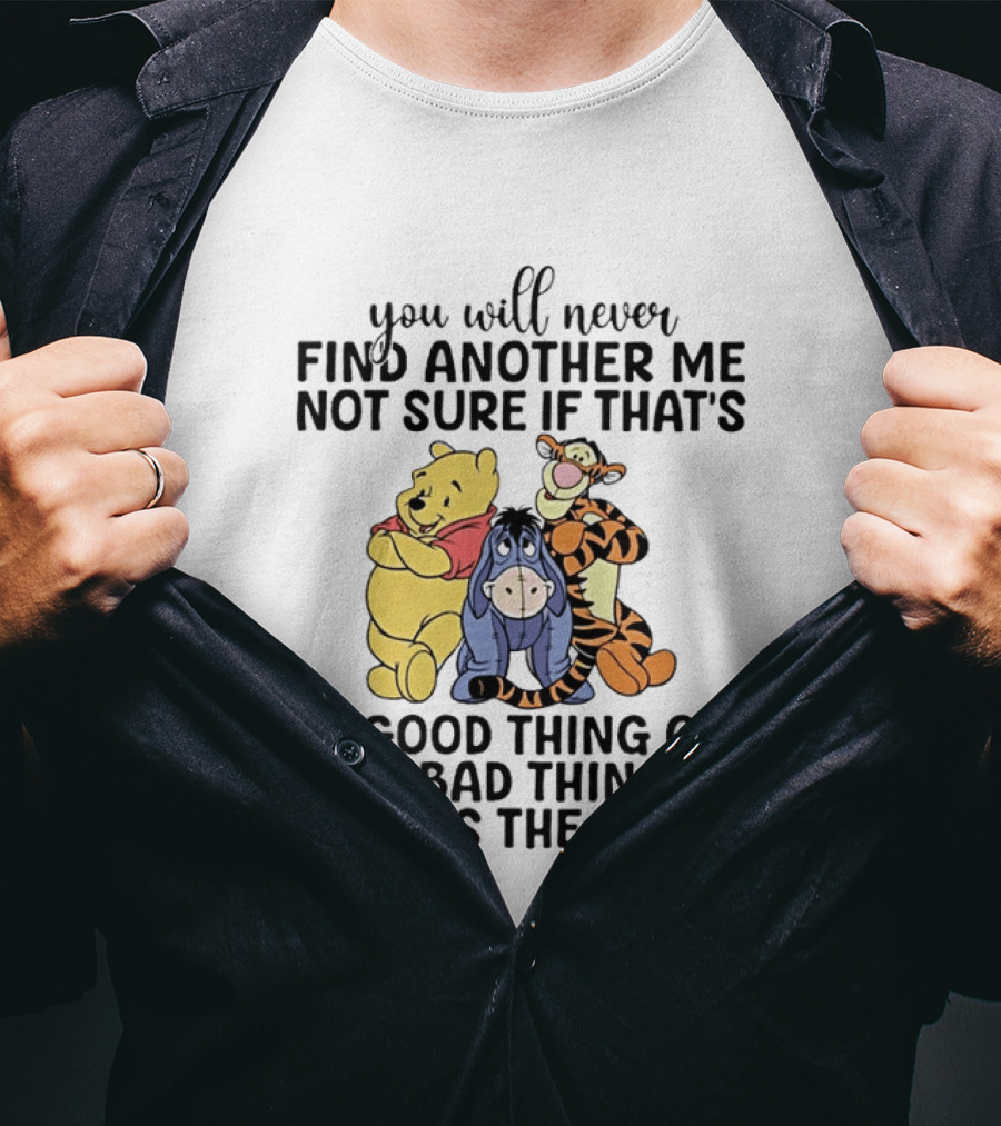 Winnie The Pooh Eeyore Tigger You Will Never Find Another Me Not Sure If That's A Good Thing Or A Bad Thing But It's The Truth T-Shirt