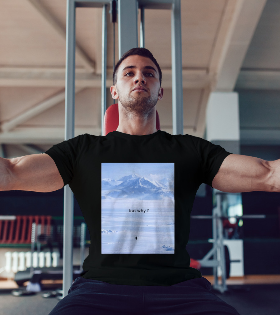 Penguin But Why Meme Snowy Mountains Motivational Scene T-Shirt