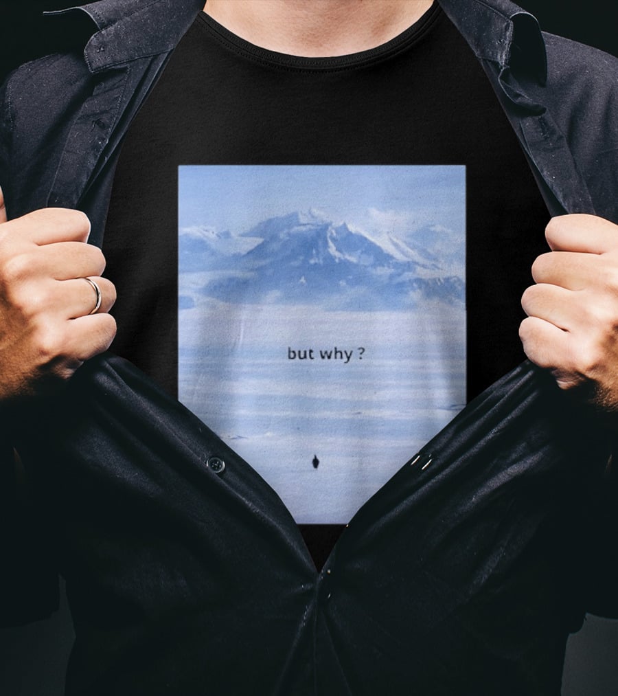 Penguin But Why Meme Snowy Mountains Motivational Scene T-Shirt