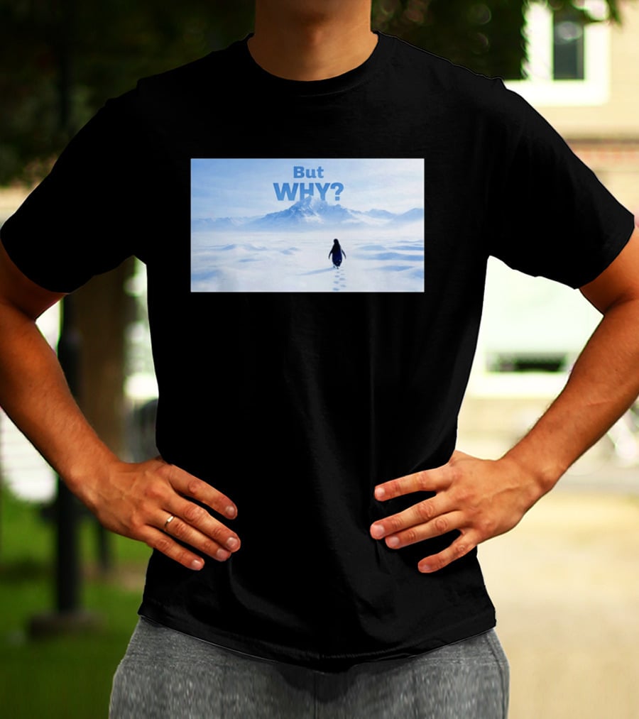 Nihilist Penguin But Why Snowy Mountains And Footprints T-Shirt