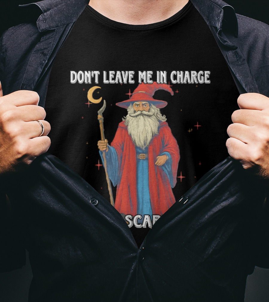 Don't Leave Me In Charge I'm Scared Wizard Staff Red Cloak T-Shirt