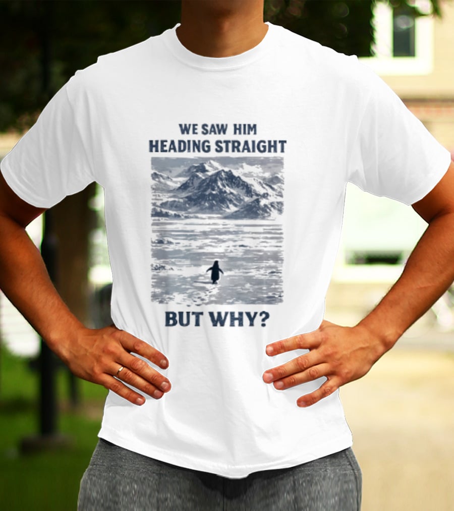 We Saw Him Heading Straight But Why Penguin Mountain Meme T-Shirt