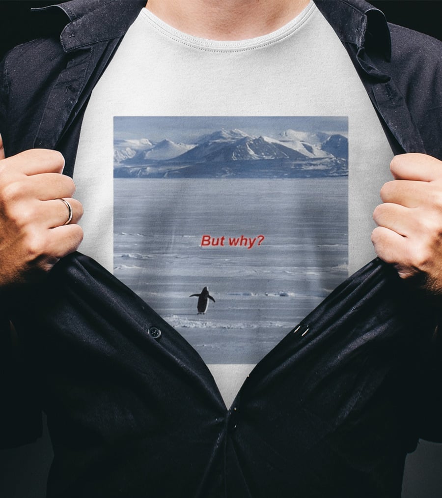 But Why Penguin Nihilist Scenic Antarctic Mountains T-Shirt