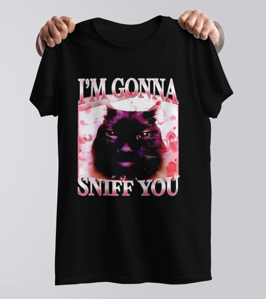I'm Gonna Sniff You Cat Meme Valentine Aesthetic T-Shirt
