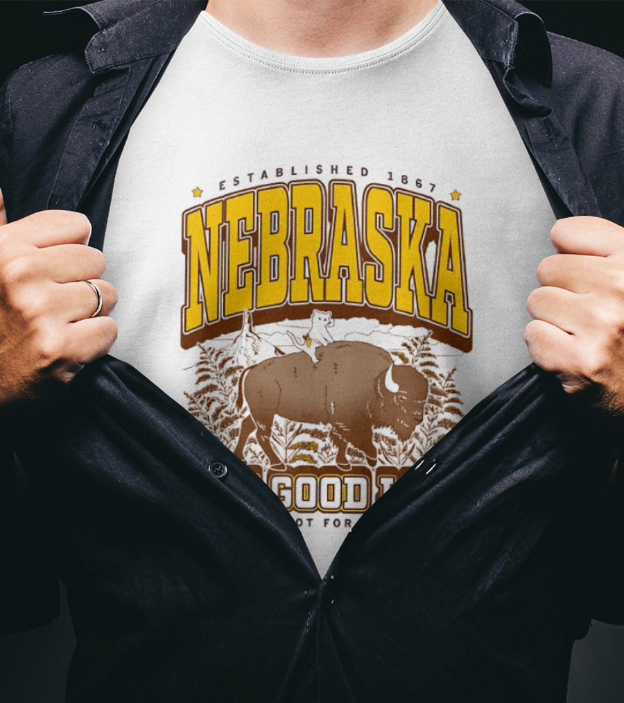 Nebraska The Good Life Established 1867 TBH It's Not For Everyone Buffalo T-Shirt