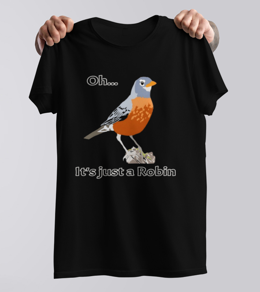 Oh It's Just A Robin Standing On Rock T-Shirt