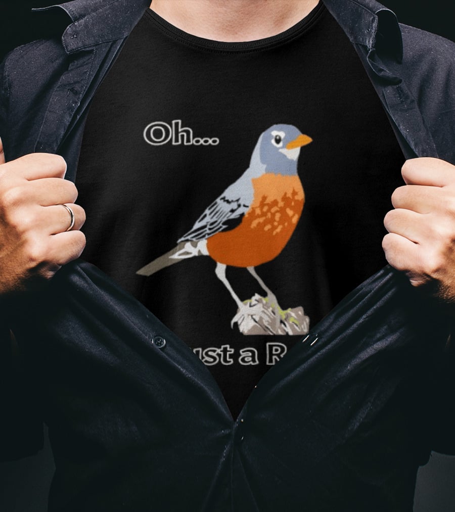 Oh It's Just A Robin Standing On Rock T-Shirt