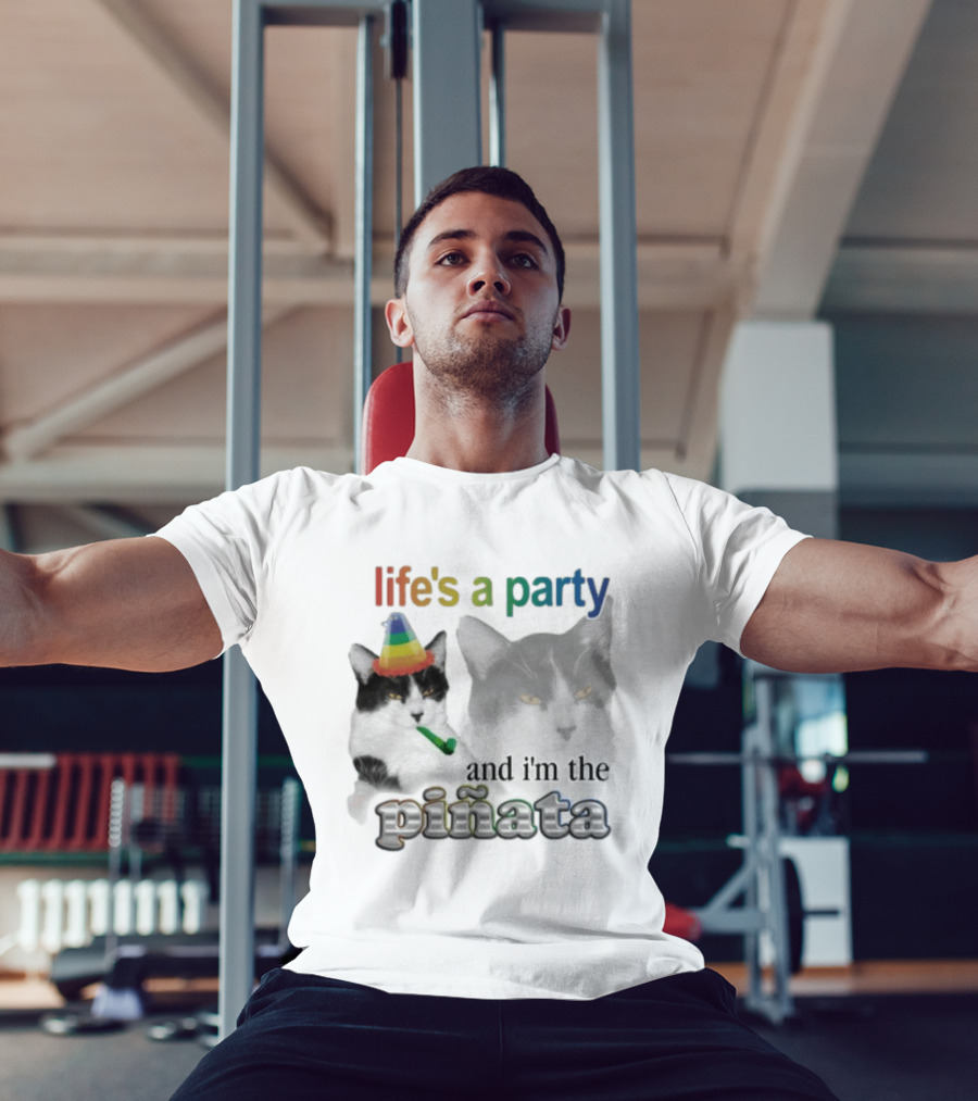 Life's A Party Cat I'm The Piñata Party Hat Humor T-Shirt