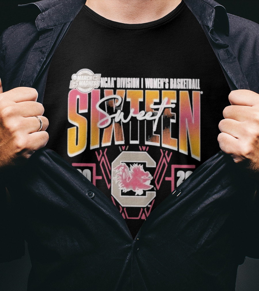 March Madness 2026 Sweet Sixteen South Carolina Gamecocks Women's Basketball Tournament T-Shirt
